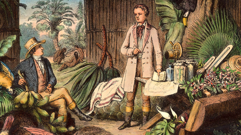 "Alexander von Humboldt und Aim‚ Bonpland in der Urwaldhtte am Orinoco" - A.v. Humboldt rechts im Bild Ausschnitt aus: Holzstich (1870) von Otto Roth nach einer Zeichnung von H. Lademann. Urwaldlaboratorium – Erlegte und noch zu präparierende Tiere, zu herbarisierende Pflanzen, rechts in Spiritusgläsern aufbewahrte präparierte Tiere. © Copyright bpk – Bildagentur für Kunst, Kultur und Geschichte
