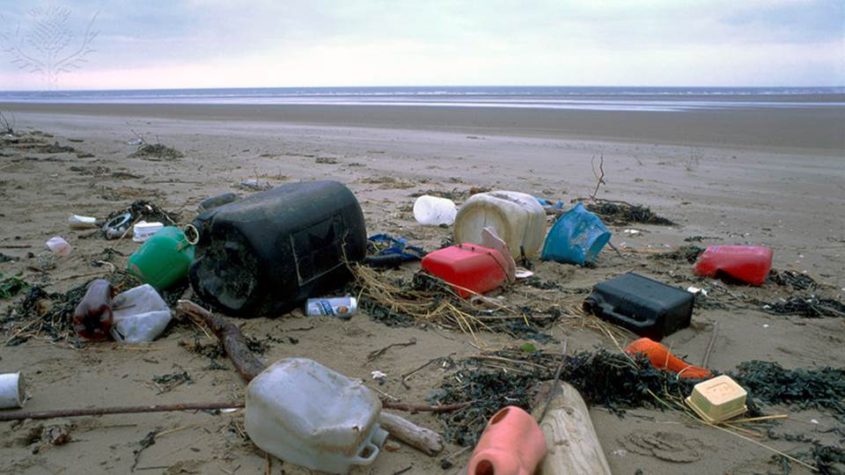 Marine litter on beach South Wales. - Quelle: Britannica ImageQuest © Universal Images Group