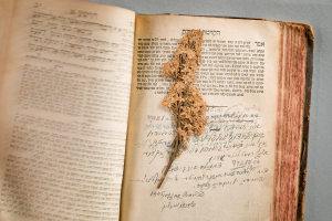 Esrim ve-arba, Jiddische Tora-Ausgabe, Literatur aus den DP-Lagern, Staatsbibliothek zu Berlin - Signatur: 4 A 44971