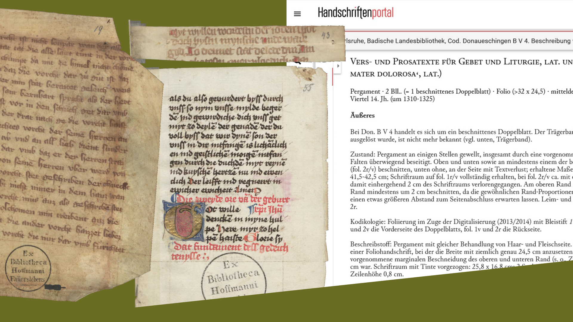 Blogbild_Summerschool_2