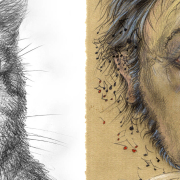 Kater Murr © Steffen Faust, 2026 / Johannes Kreisler © Stephan Klenner-Otto, 2026
