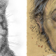 Kater Murr © Steffen Faust, 2026 / Johannes Kreisler © Stephan Klenner-Otto, 2026
