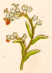 Kate Greenaway: Language of flowers, 1884