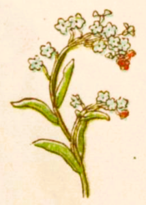Kate Greenaway: Language of flowers, 1884