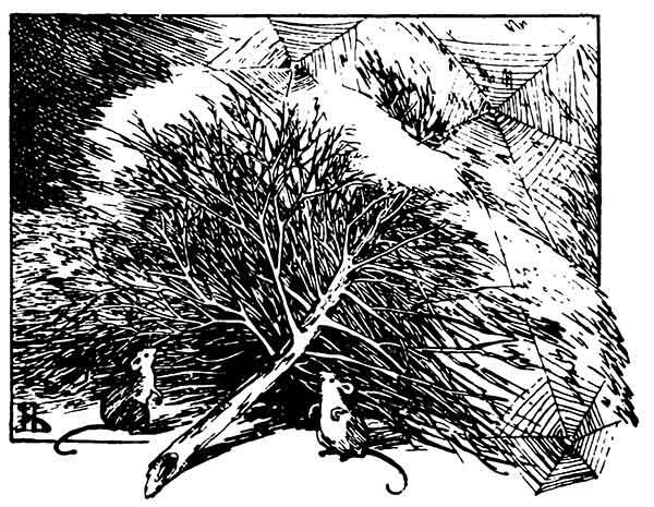 Helen Stratton: Der Tannenbaum