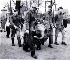 Kosko trifft im Berliner Tierpark ein. Foto: Budich