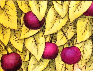 Rote Kirschen eß ich gern.