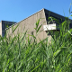 Foto einer Wiese, im Hintergrund ist das Gebäude der Staatsbibliothek zu sehen.